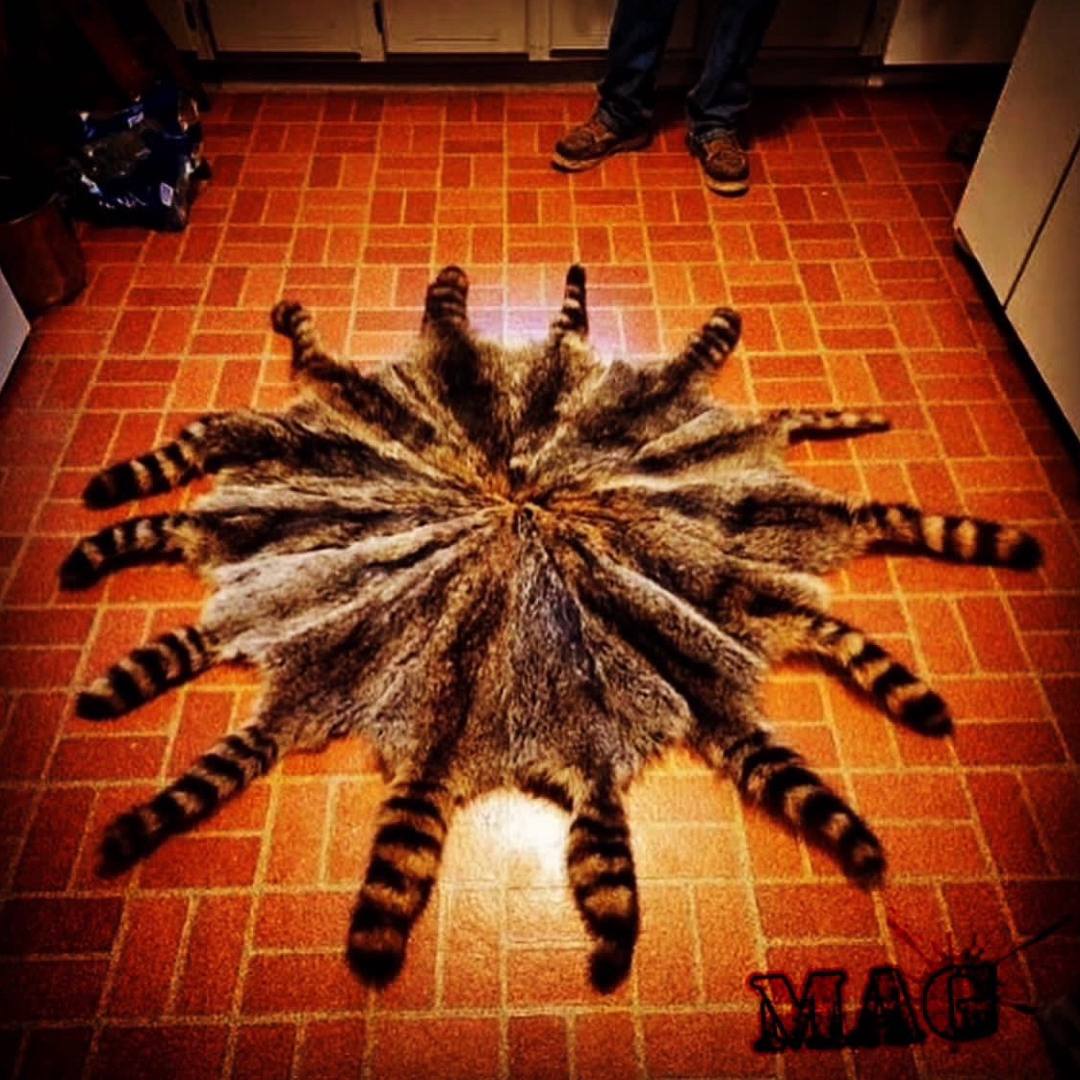 Blow Me Album Art